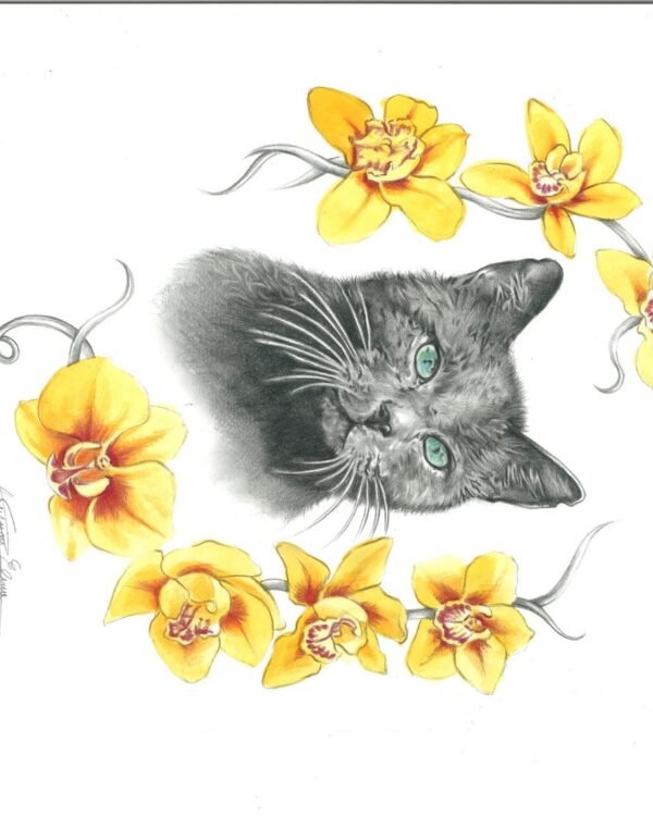 «Gatto e orchidee» — illustrazione di Elena Chiappini