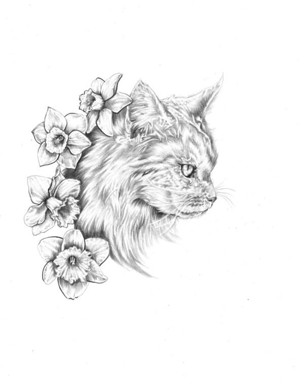 «Honey» — illustrazione di Elena Chiappini
