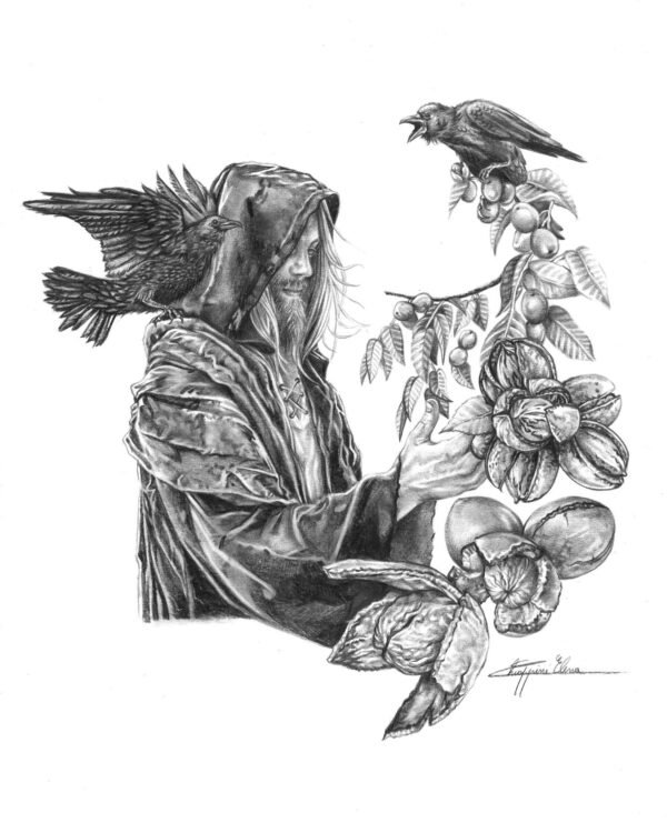 «Nodino» — illustrazione di Elena Chiappini